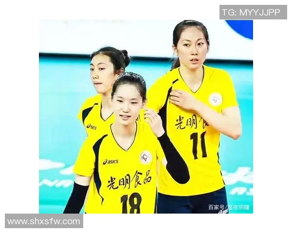西安排球队技术实力强劲荣登排球技术排行榜第二名